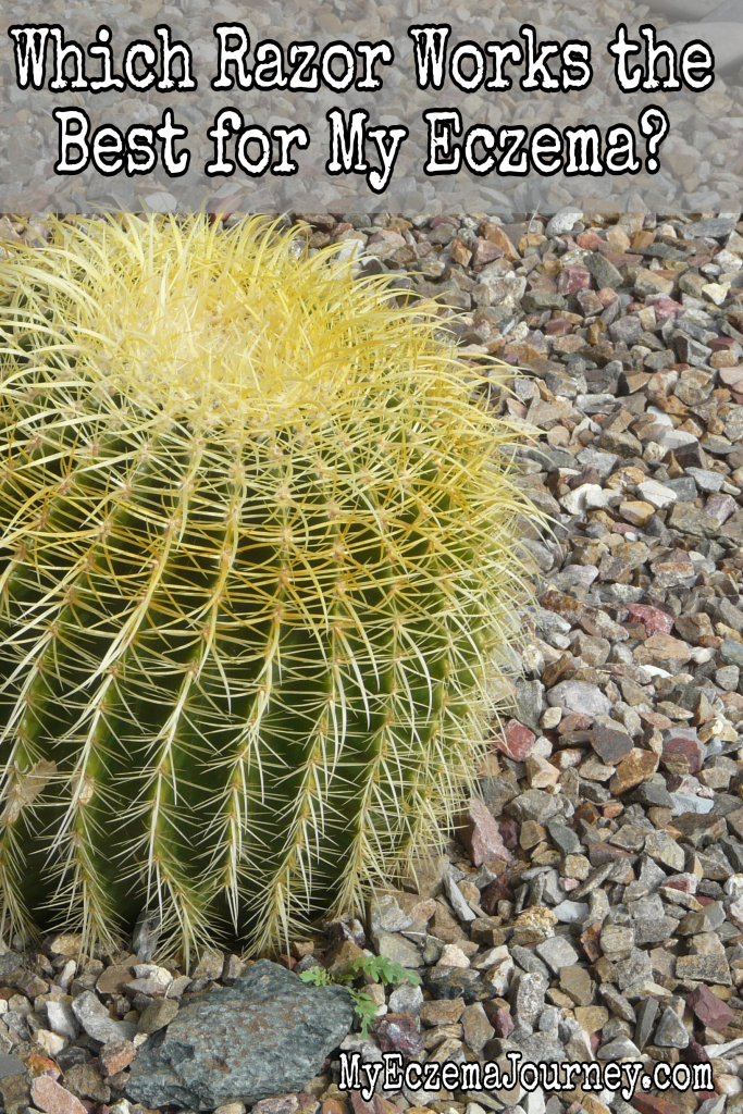 Cactus with yellow spines growing out of dry rocks with text overlay: Which Razor Works the Best for My Eczema? 