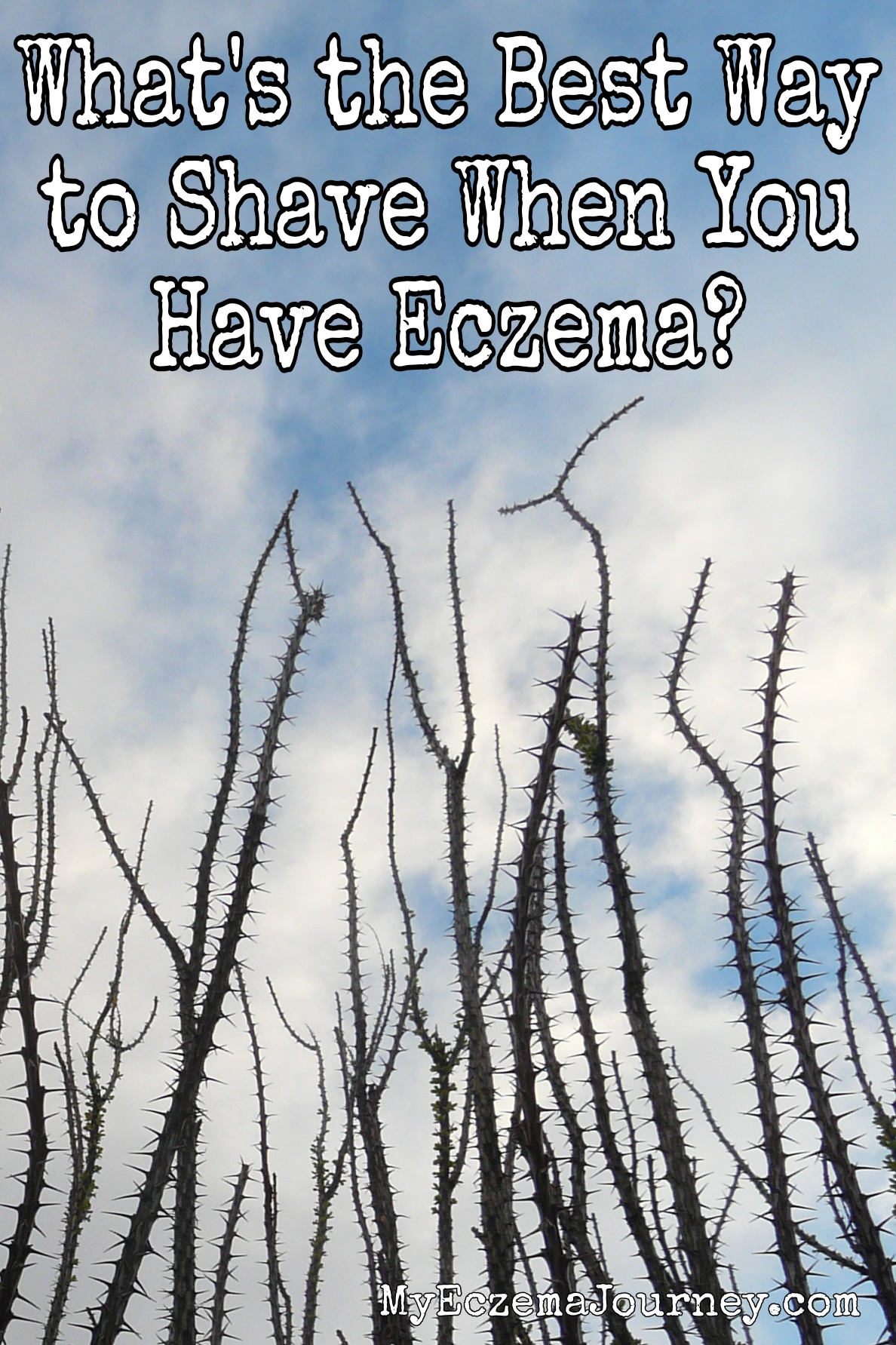 siny cactus against blue sky with text overlay: What's the best way to shave when you have eczema?